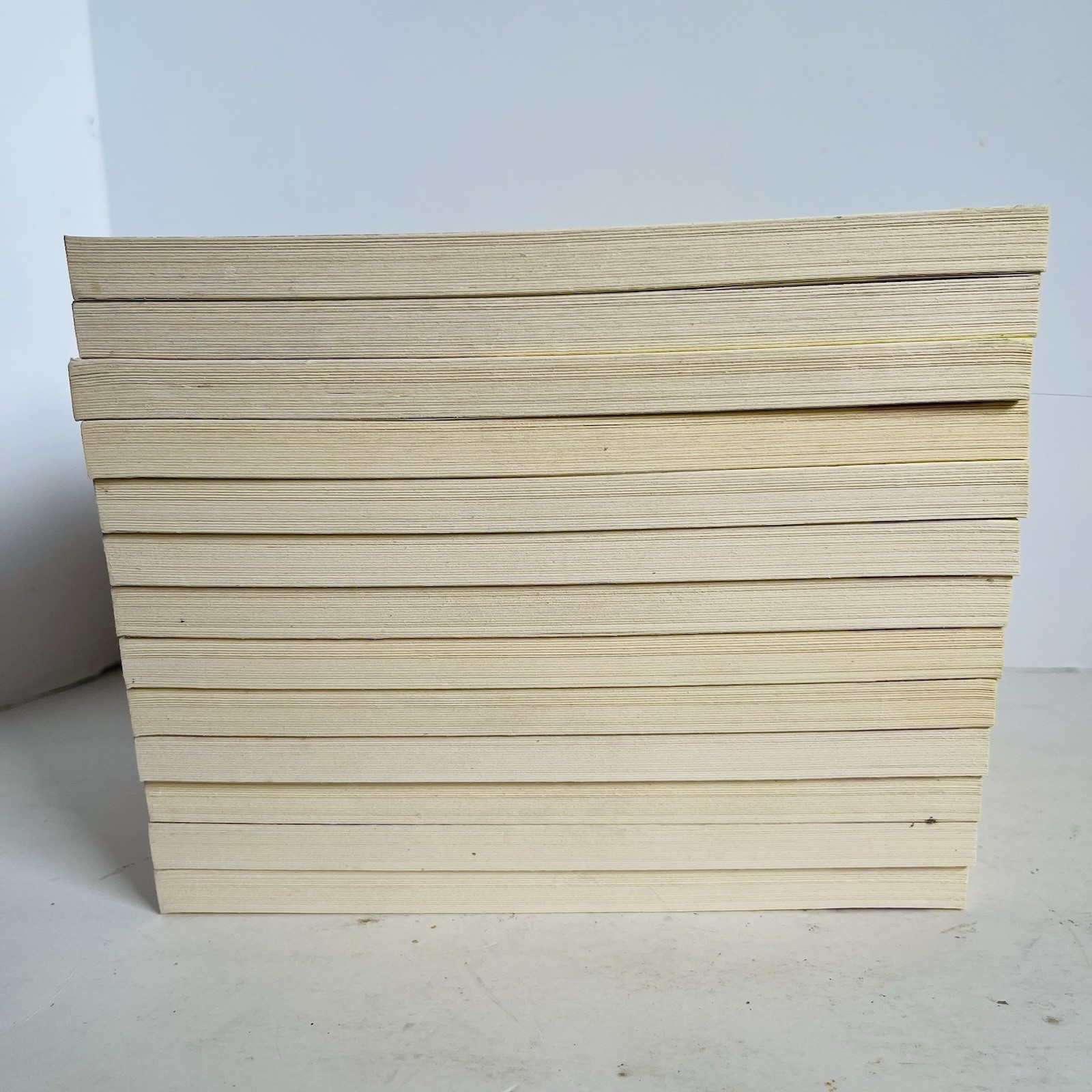 Lot of 13 Tuck Everlasting Natalie Babbitt Square Fish Classroom Guided Reading