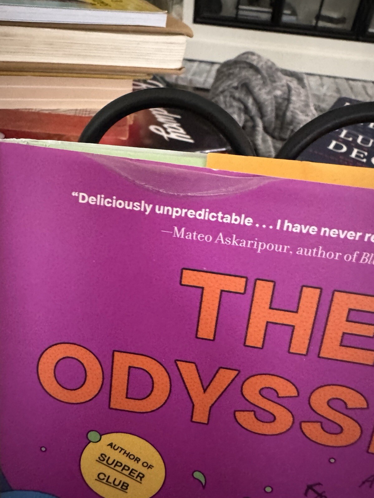 The Odyssey: A Novel by Lara Williams (Zando, Hardcover, 2022) English 240 pages