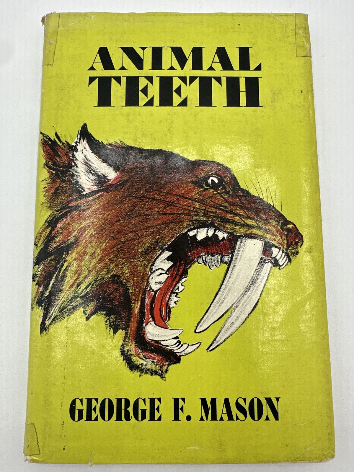Animal Teeth George F Mason 1965 Hardcover 96 Pages Morrow Junior Books Library