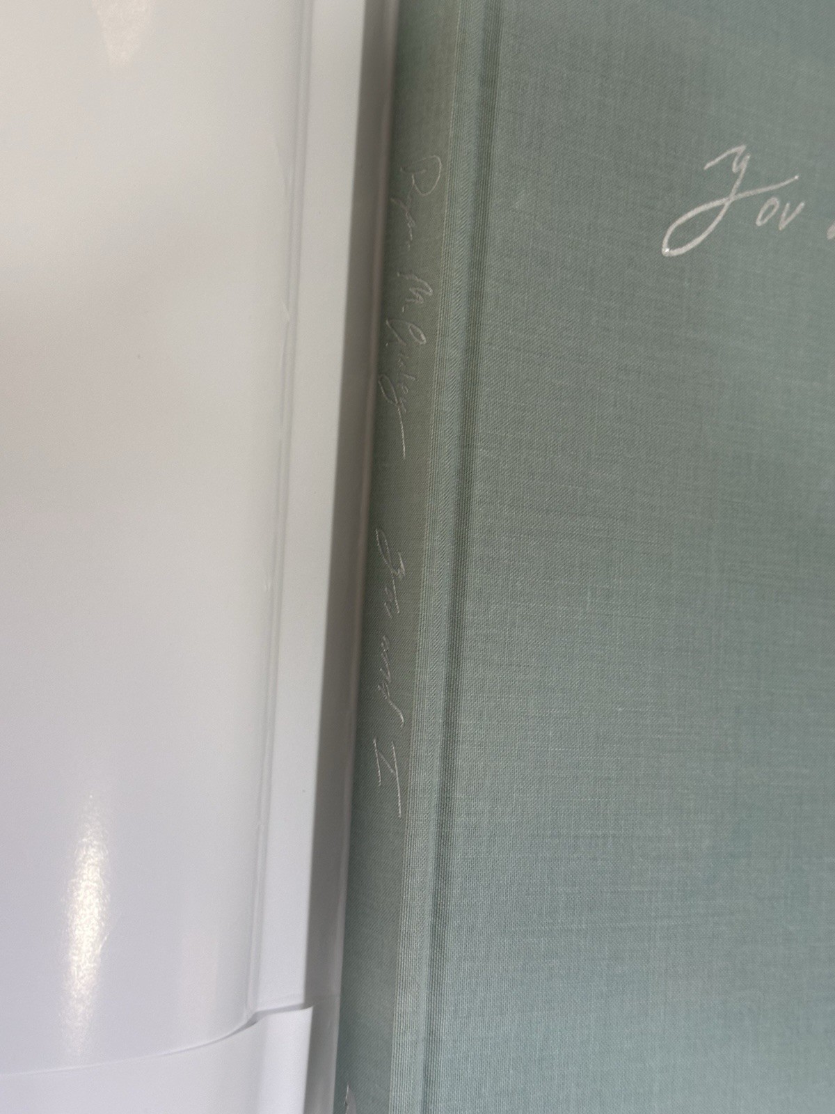 You & I Ryan Mc Ginley Hard Cover Dust Jacket