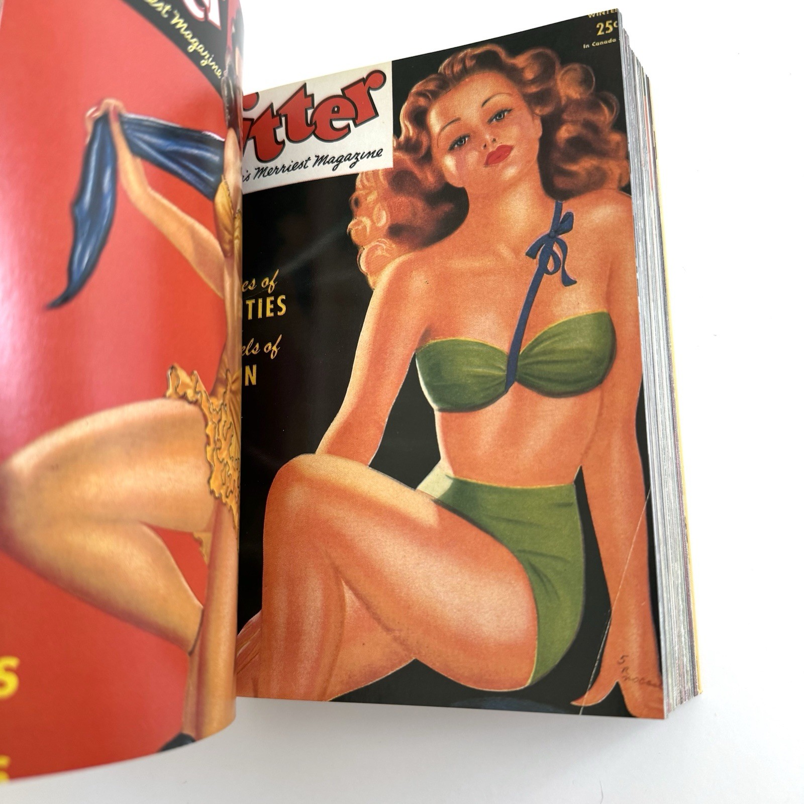 1000 Pin-up Girls: Twenty Fifth Anniversary Edition