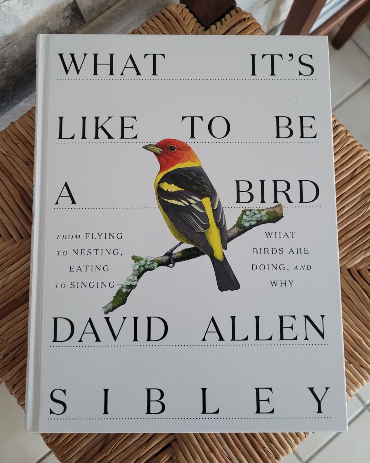 What It’s Like to Be a Bird by David Allen Sibley 2020 Hardcover Flying Singing