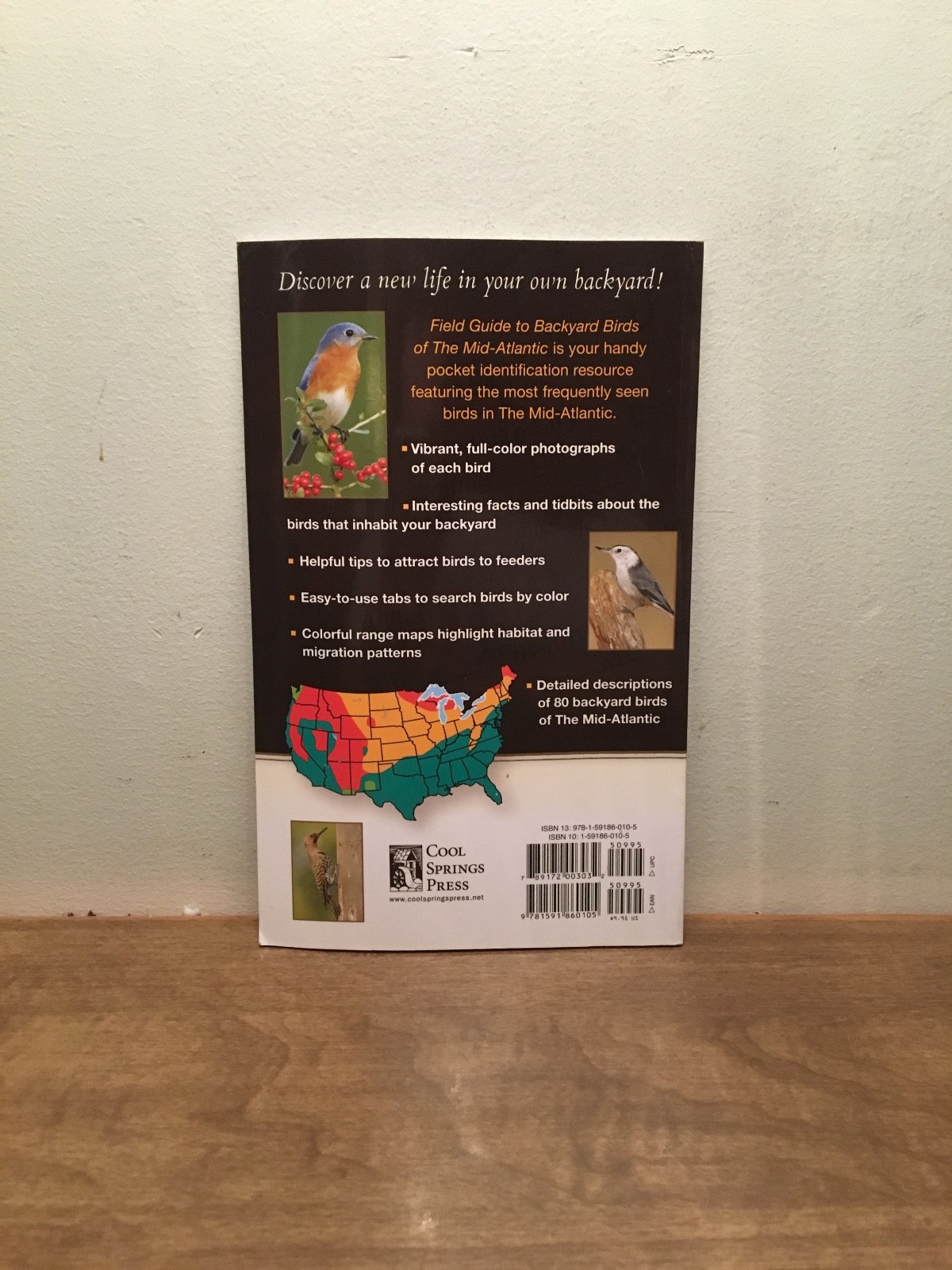 Field Guide to Backyard Birds of the Mid-Atlantic by Cool Springs Press (English