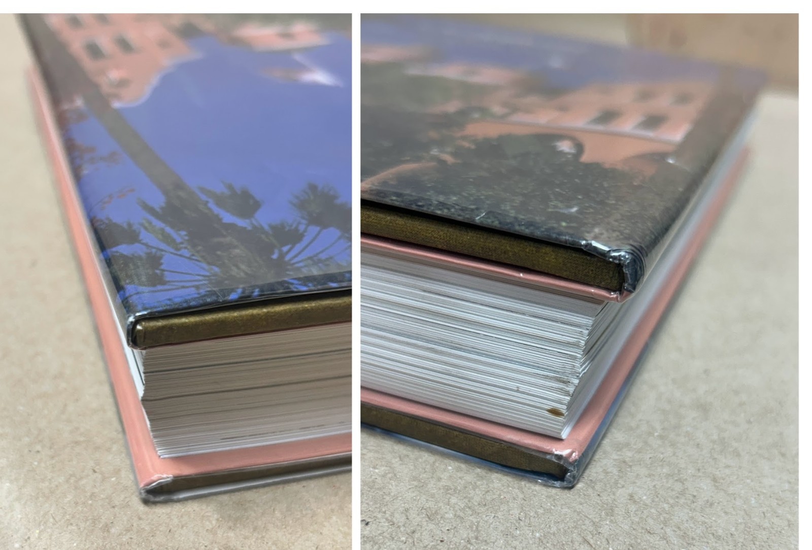 The Beverly Hills Hotel & Bungalows The First 100 Years Robert S. Anderson Book