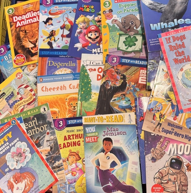 Lot Of 20 Level 3 Readers MIXED NO DUPLICATES Free Shipping