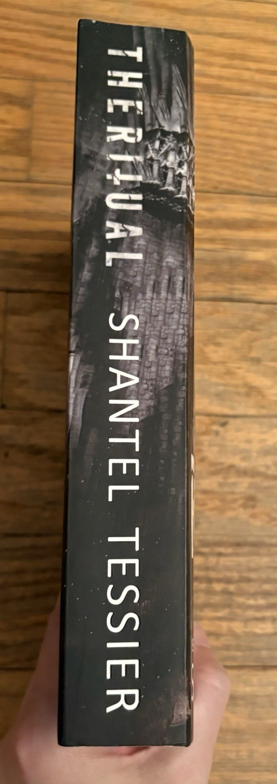 The Ritual : A Dark College Romance by Shantel Tessier (2021, Paperback)