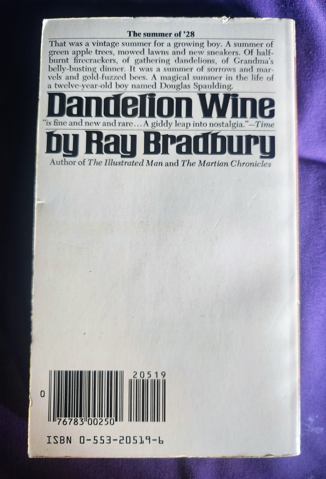 Dandelion Wine Ray Bradbury Bantam Books Vintage Paperback Book 1981 Sci-Fi