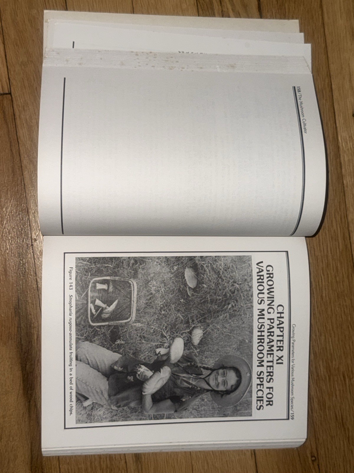 The Mushroom Cultivator Paul Stamets J.S. Chilton 1983 Agarikon Press VG PB