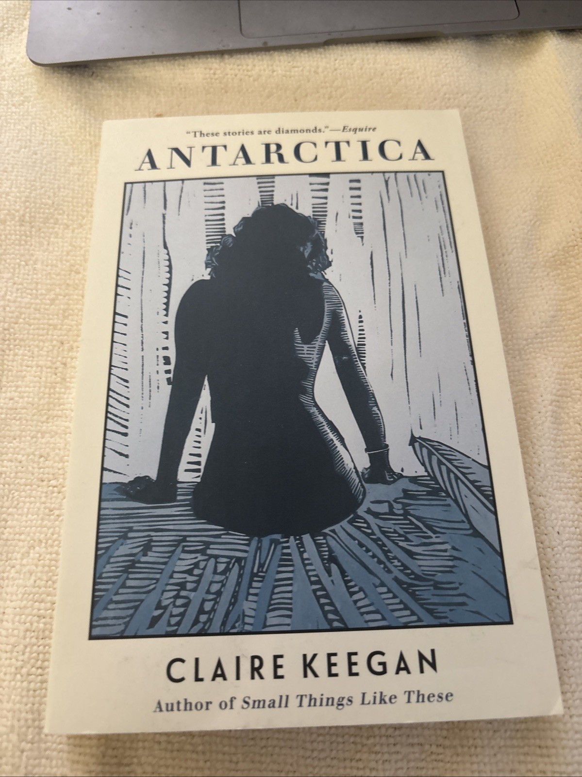 Antarctica By Claire Keegan. 1999, PB
