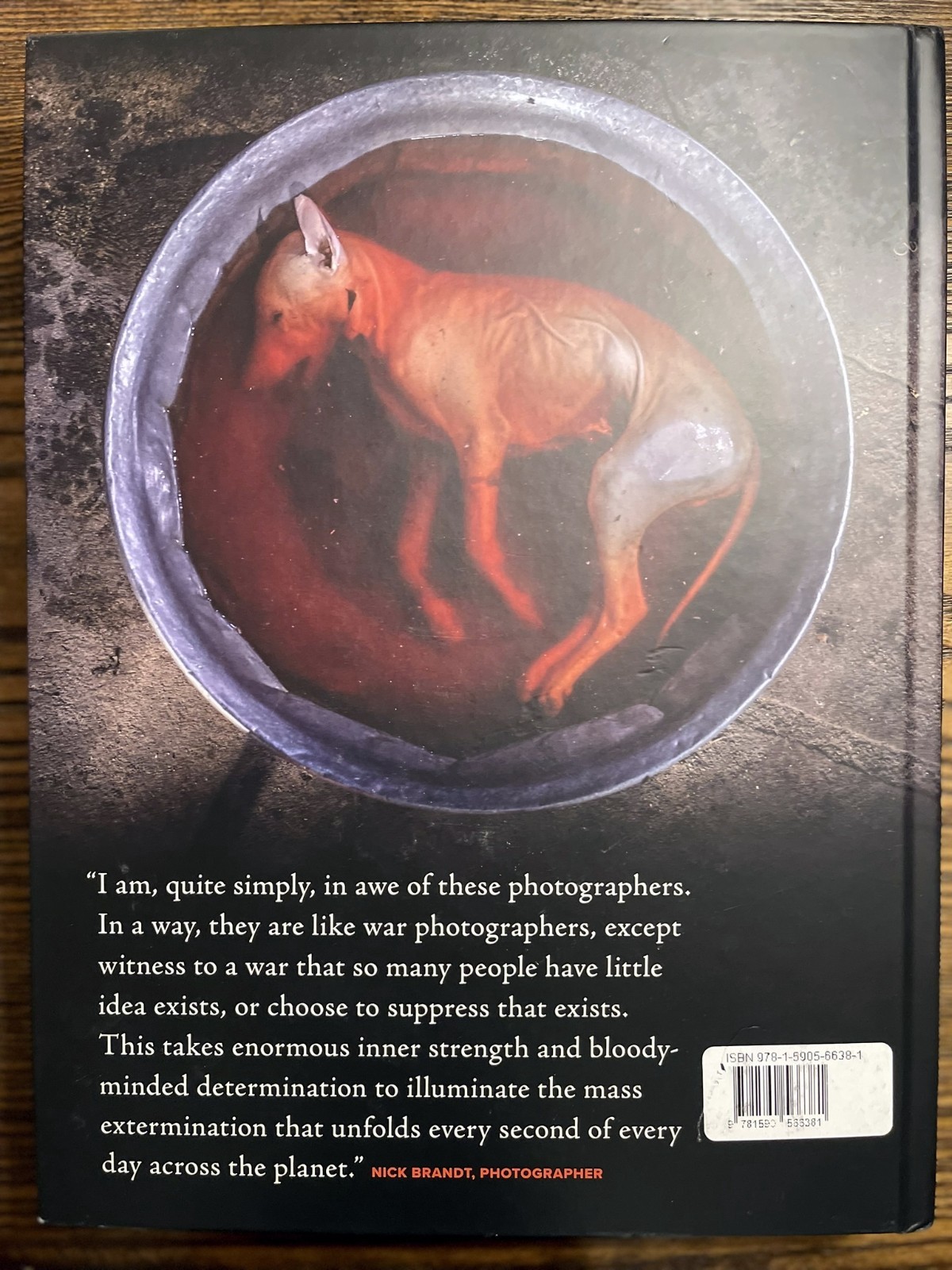 Hidden : Animals in the Anthropocene by Jo-Anne McArthur (2020, Hardcover) VG