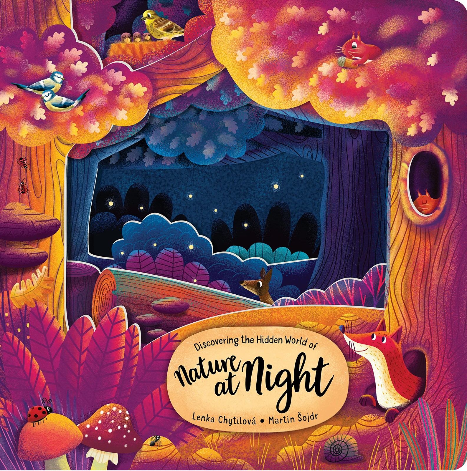 Discovering the Hidden World of Nature at Night (Happy Fox Books) Board Book…