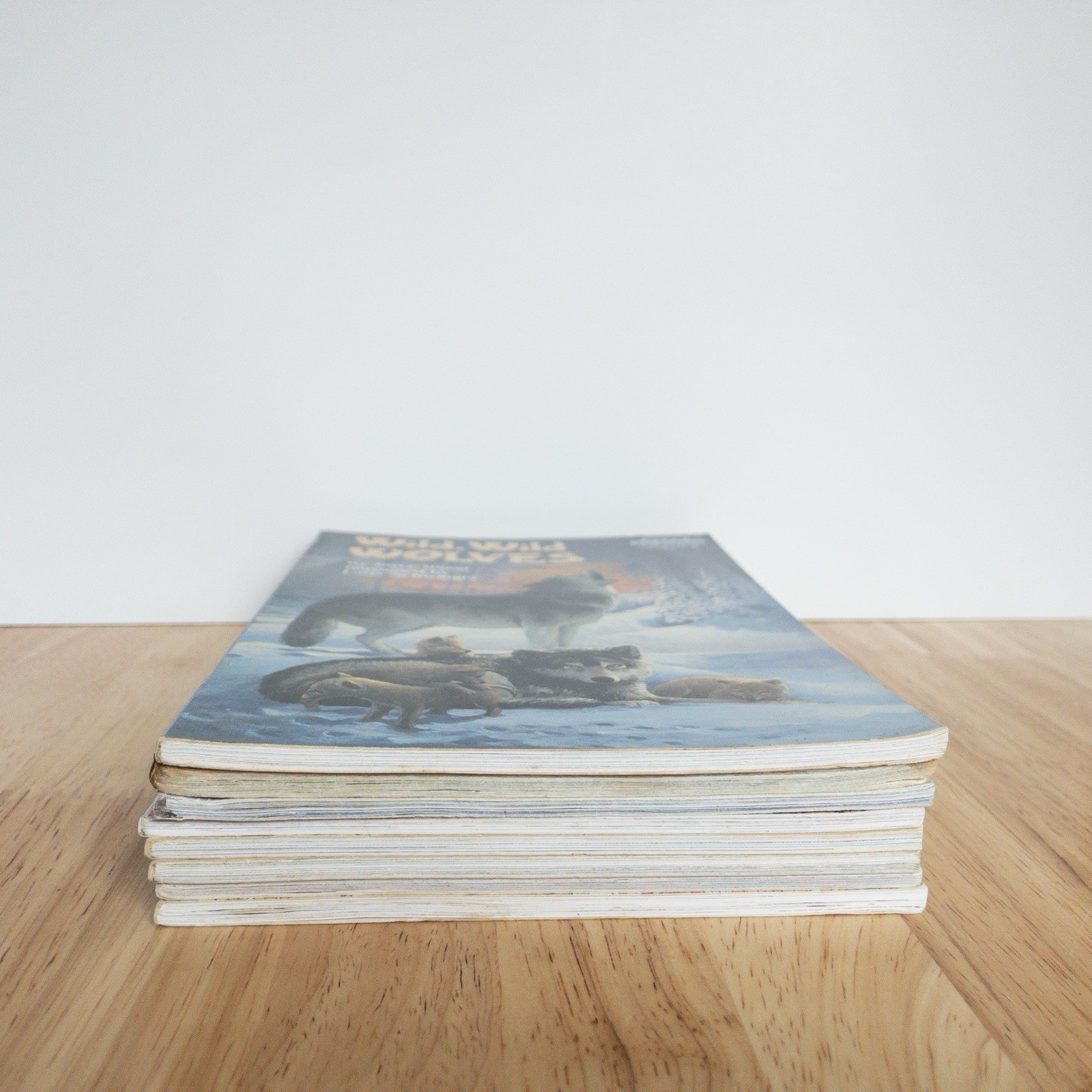 Step Into Reading Books Level 2 & 3 Nonfiction Beginning Reader Bundle of 8