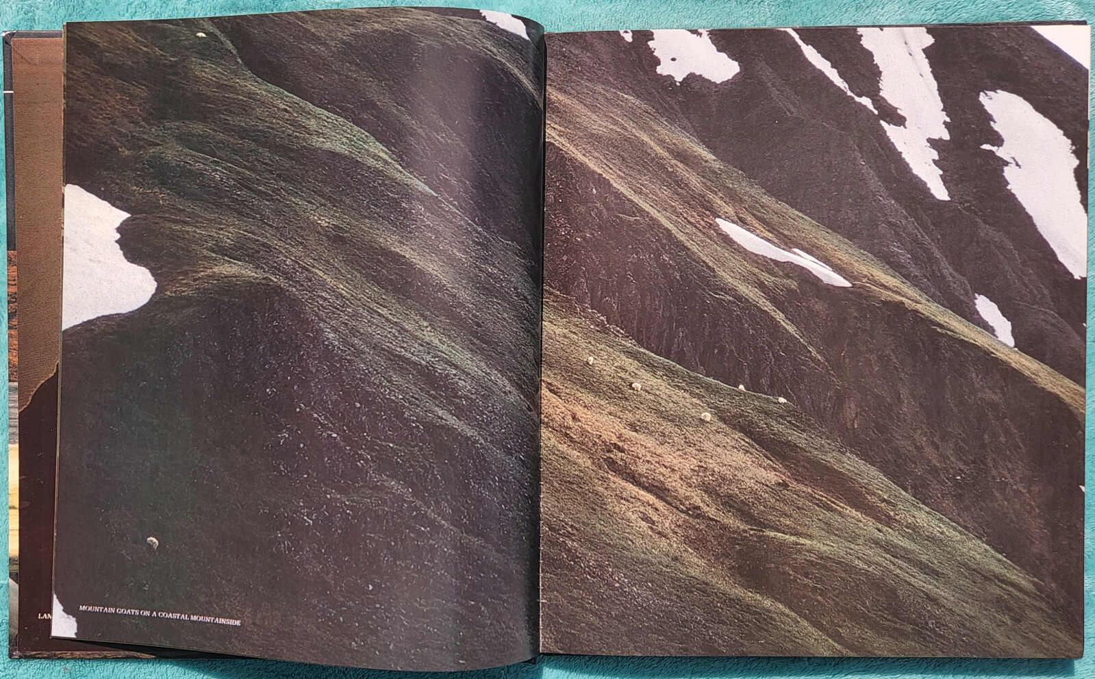 Wild Alaska The American Wilderness 1982 Time-Life Hardcover 184 Pages
