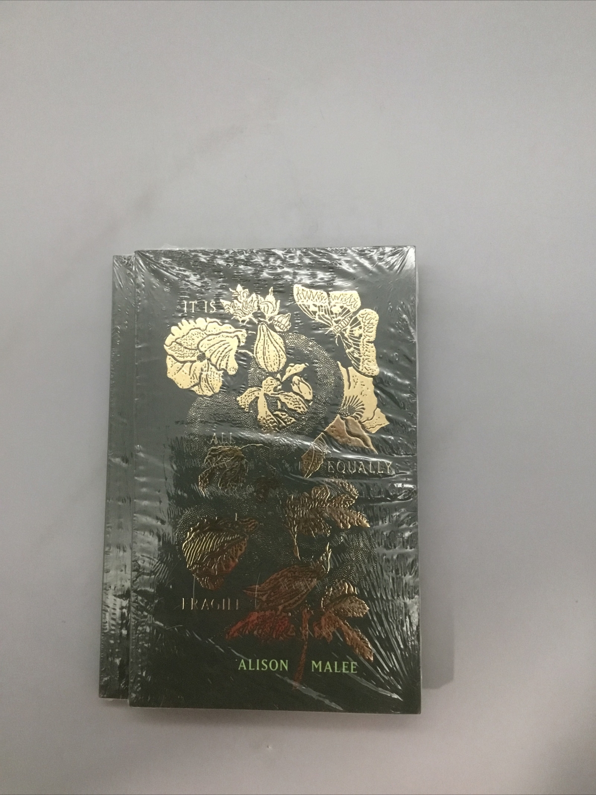 It Is All Equally Fragile by Alison Malee 2023 Catalog Paperback NEW in Wrapper