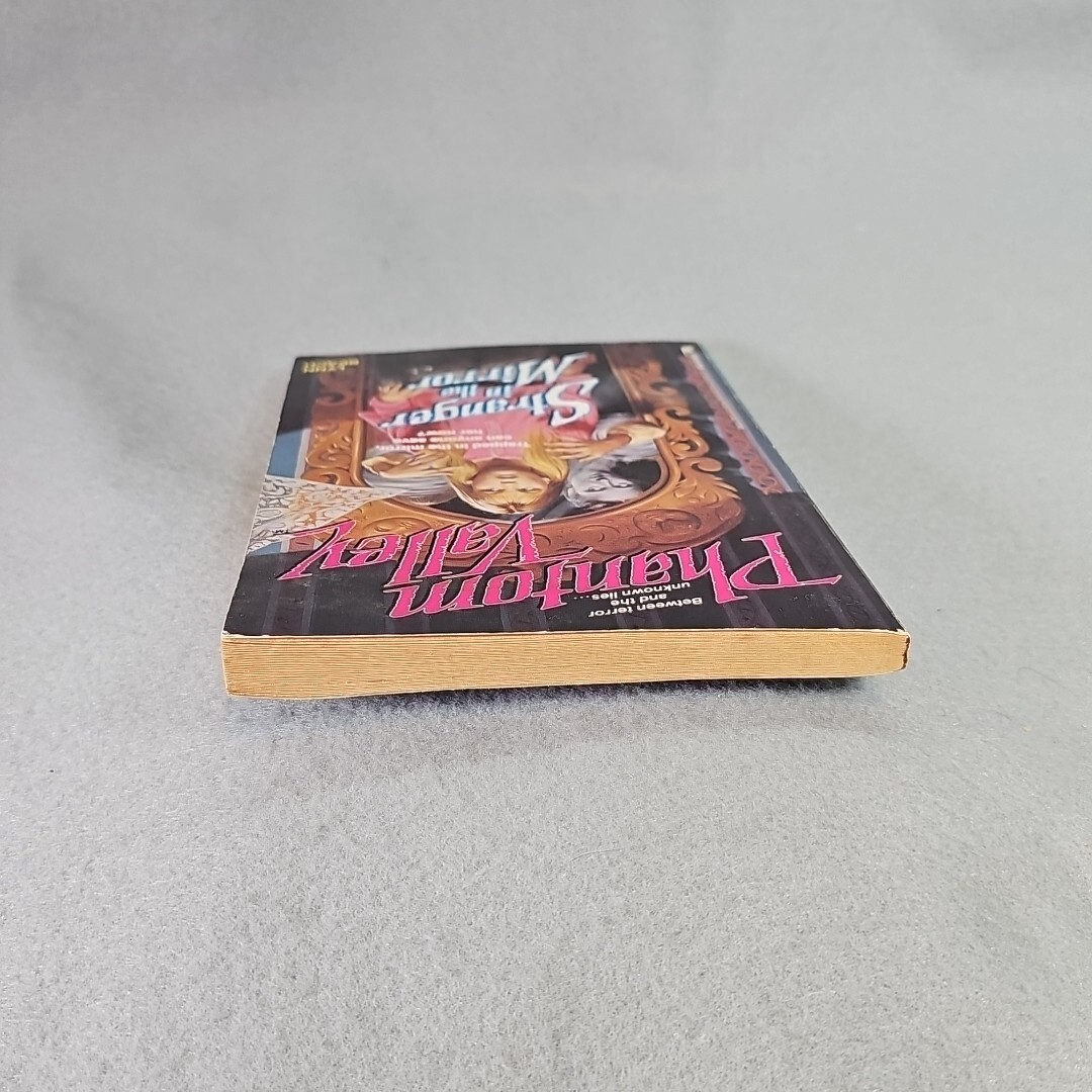 1992 Stranger in the Mirror Phantom Valley Book 4 by Lynn Beach PB