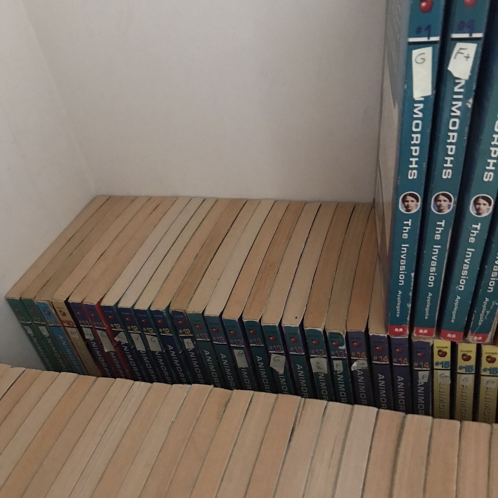 Animorphs books YOU PICK! 41 42 43 44 45 46 47 48 49 50 52 54 1 3 5 21 22 23 24