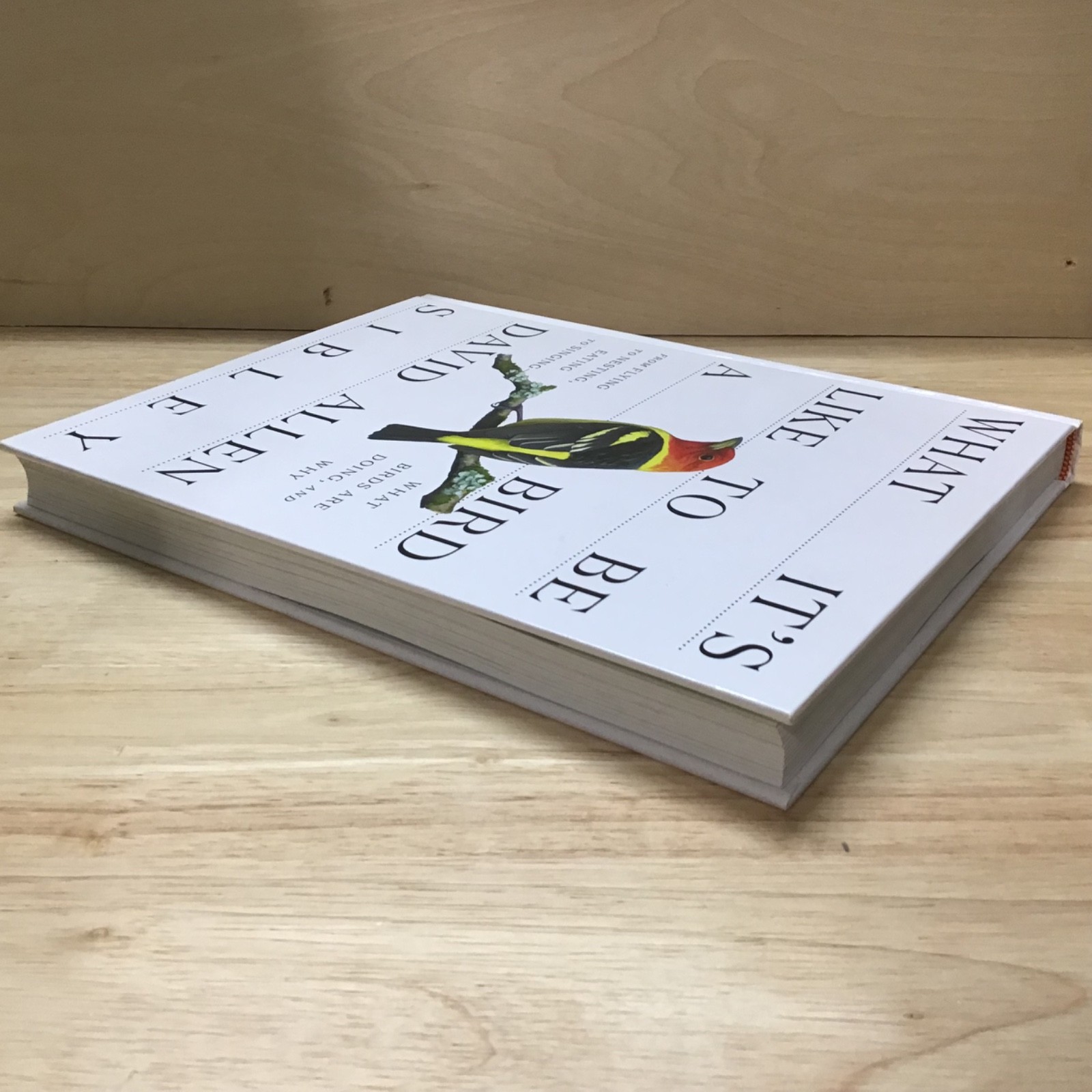 “What It’s Like to be a Bird” by David Allen Sibley