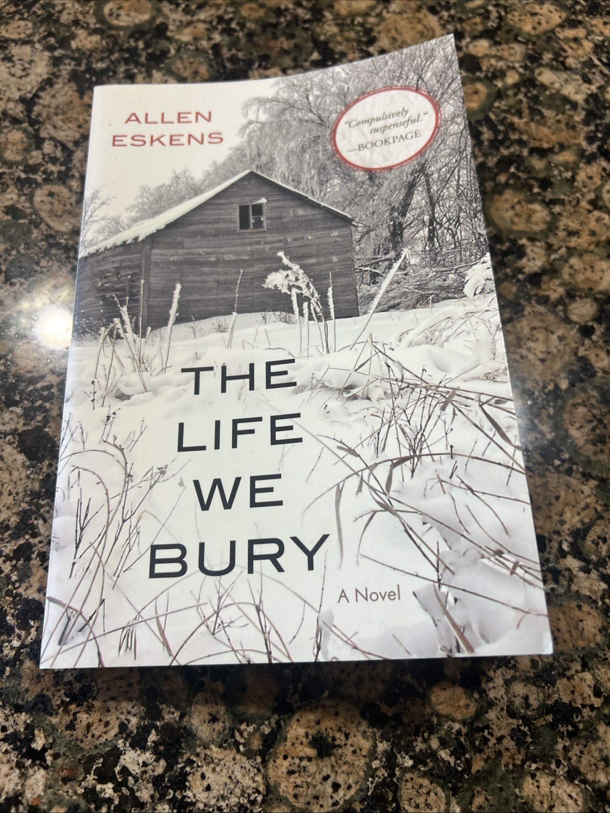 The Life We Bury Allen Eskens, 9781616149987