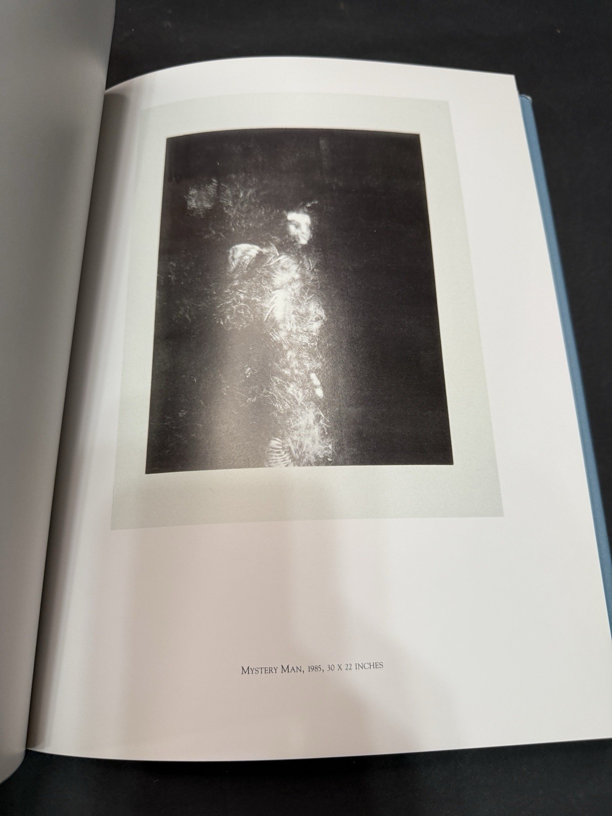Fritz Scholder Paintings & Monotypes 1988 | Twin Palms | Tarn Provenance VG