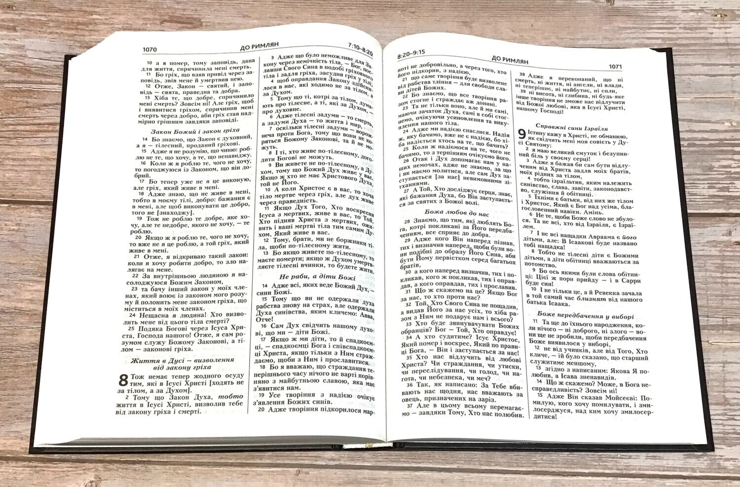 Ukrainian Bible Contemporary translation 170X240 mm Біблія cучасний переклад