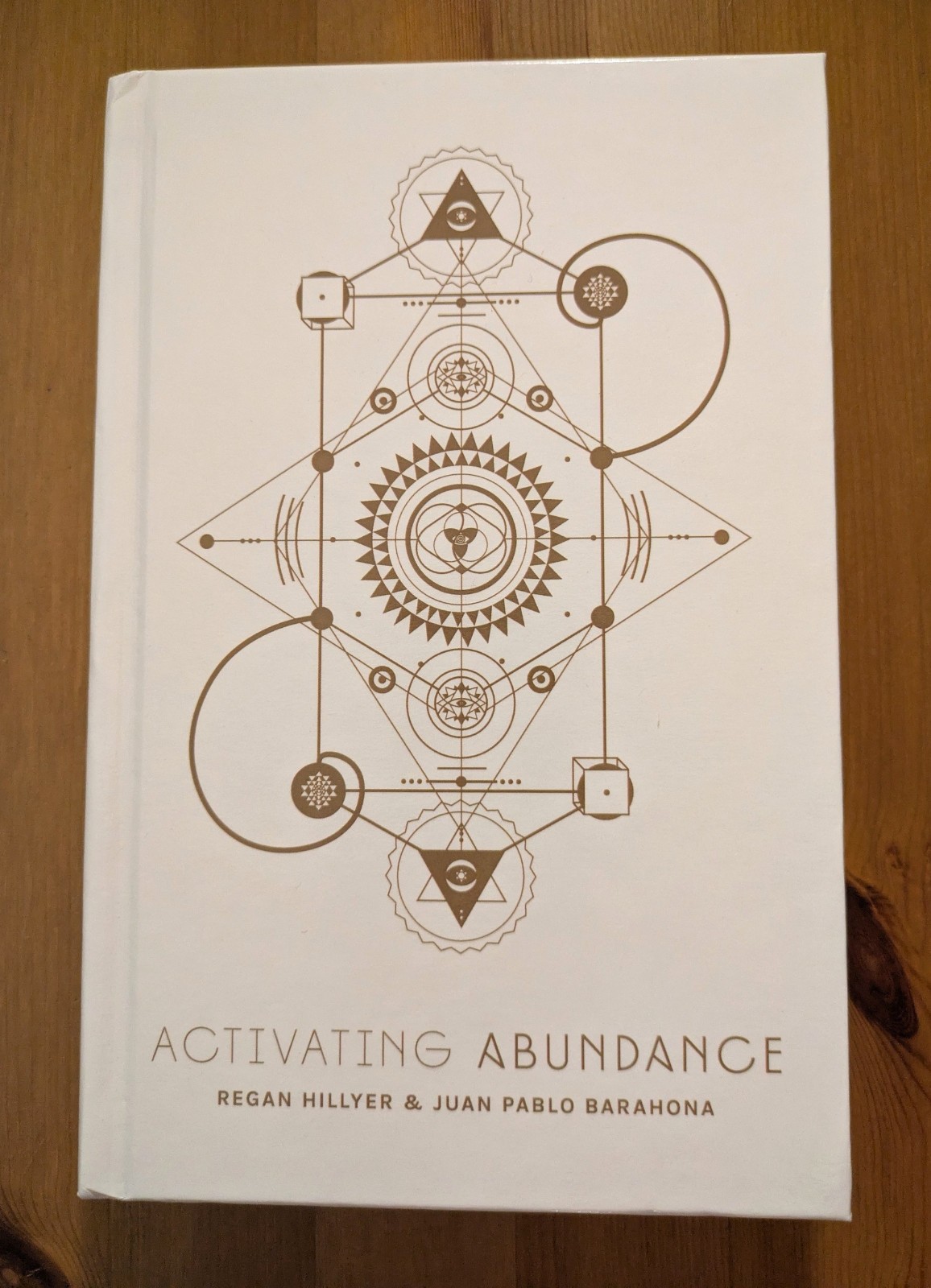 Activating Abundance : Fifty-Two Codes to Unlock Abundance : Regan Hillyer NEW!