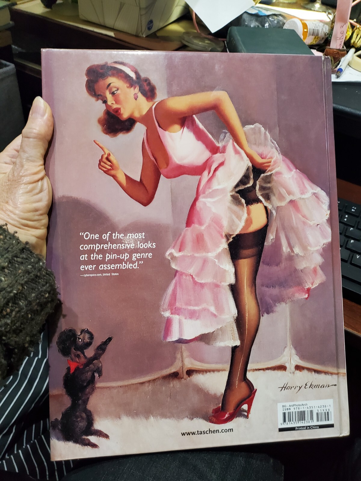 THE GREAT AMERICAN PIN-UP Martignette & Meisel HUGE 280 pages 2011 1st 246810975