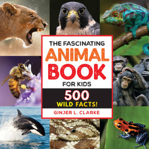 The Fascinating Animal Book for Kids: 500 Wild Facts! – Paperback – GOOD