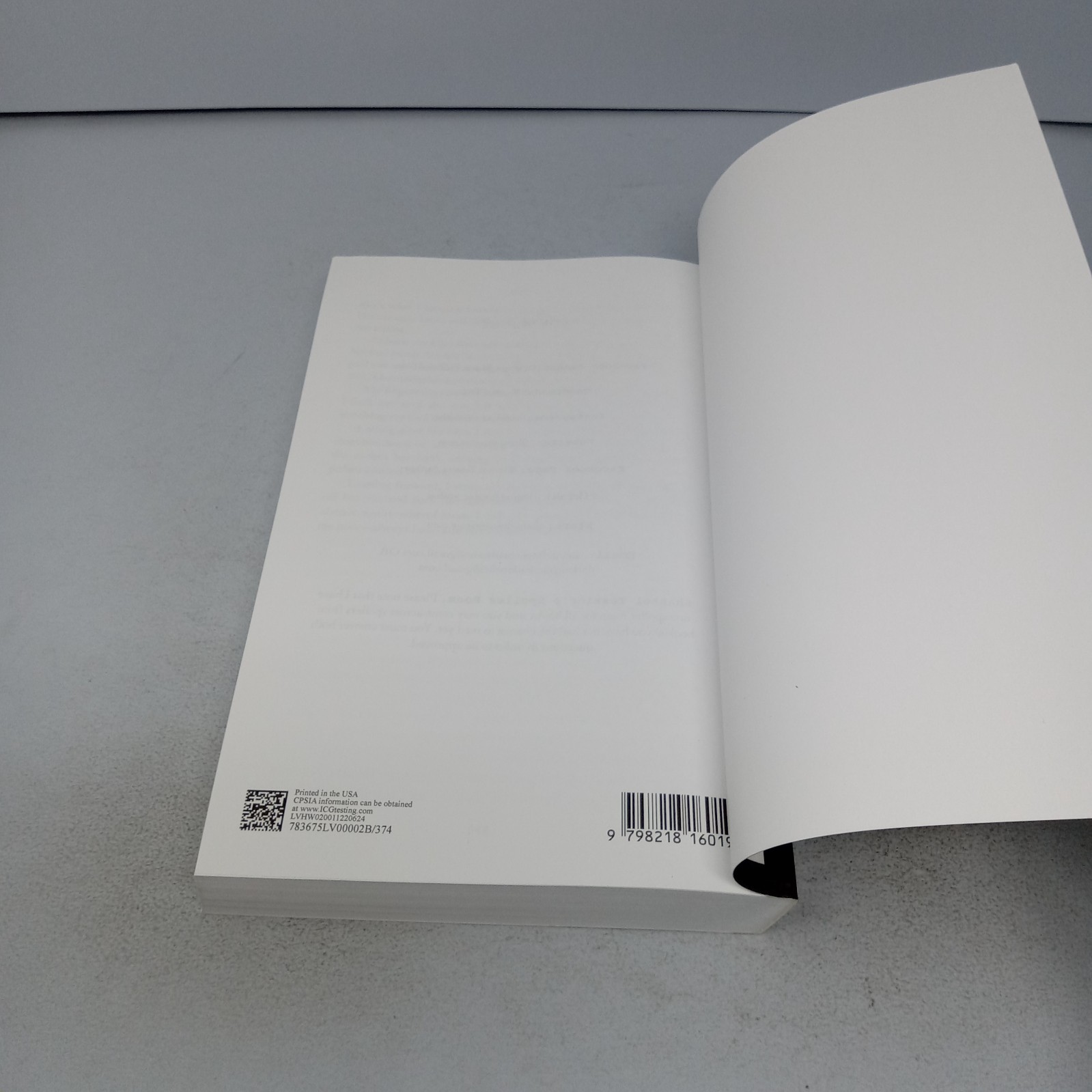 The Ritual: Paperback by Shantel Tessier