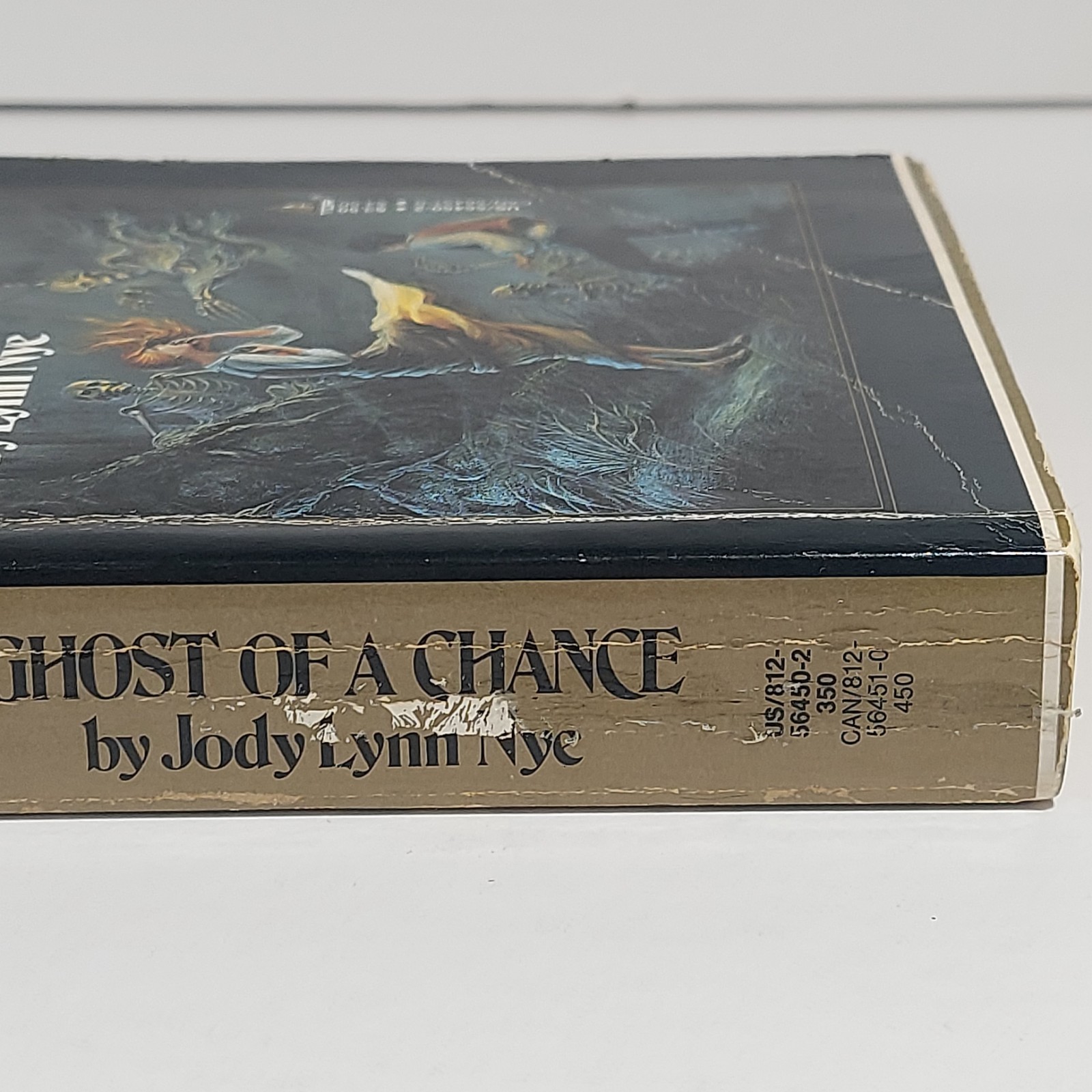 Ghost of a Chance by Jody L. Nye (1988, Trade Paperback) A Crossroads Adventure