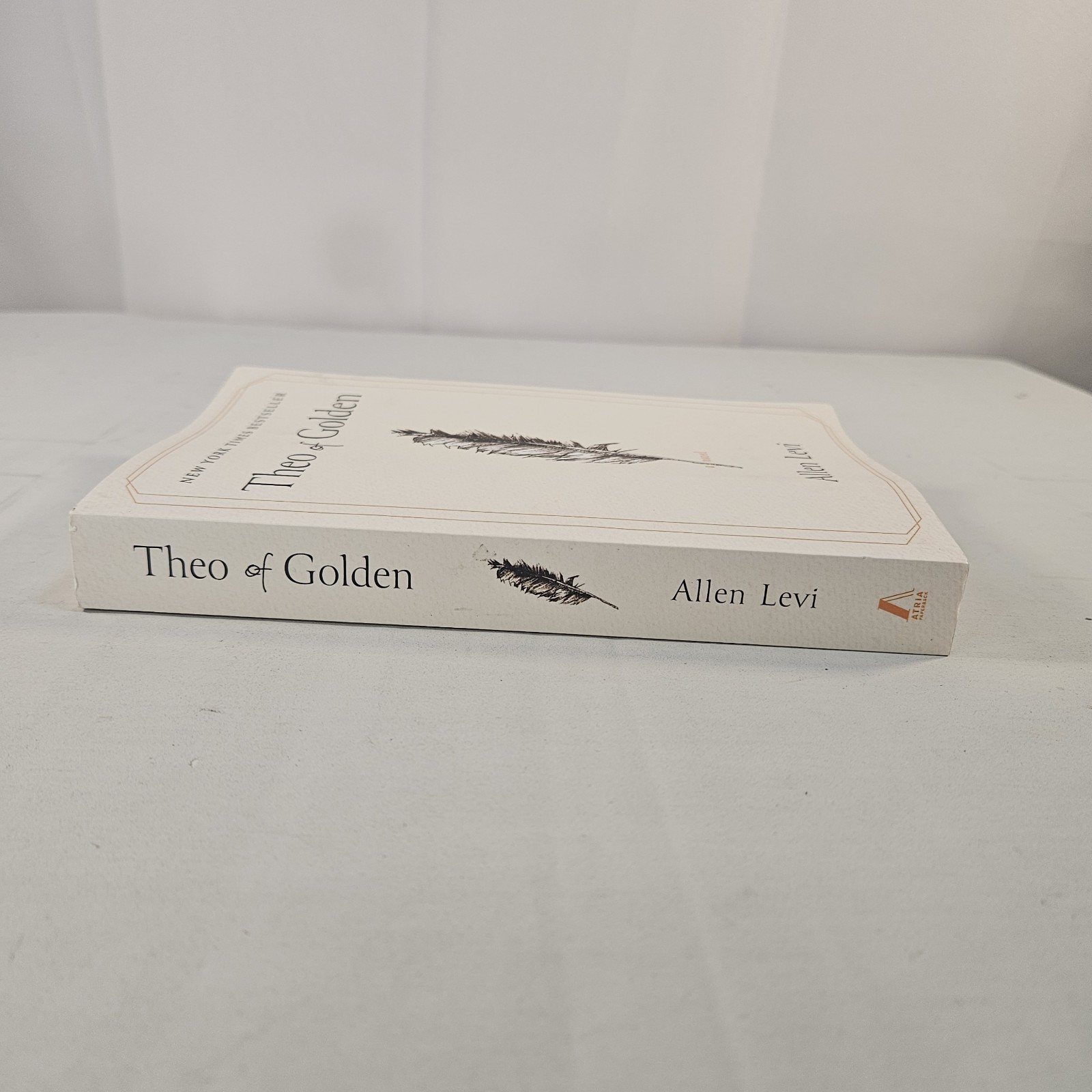 Theo of Golden : A Novel by Allen Levi (2025, Trade Paperback)