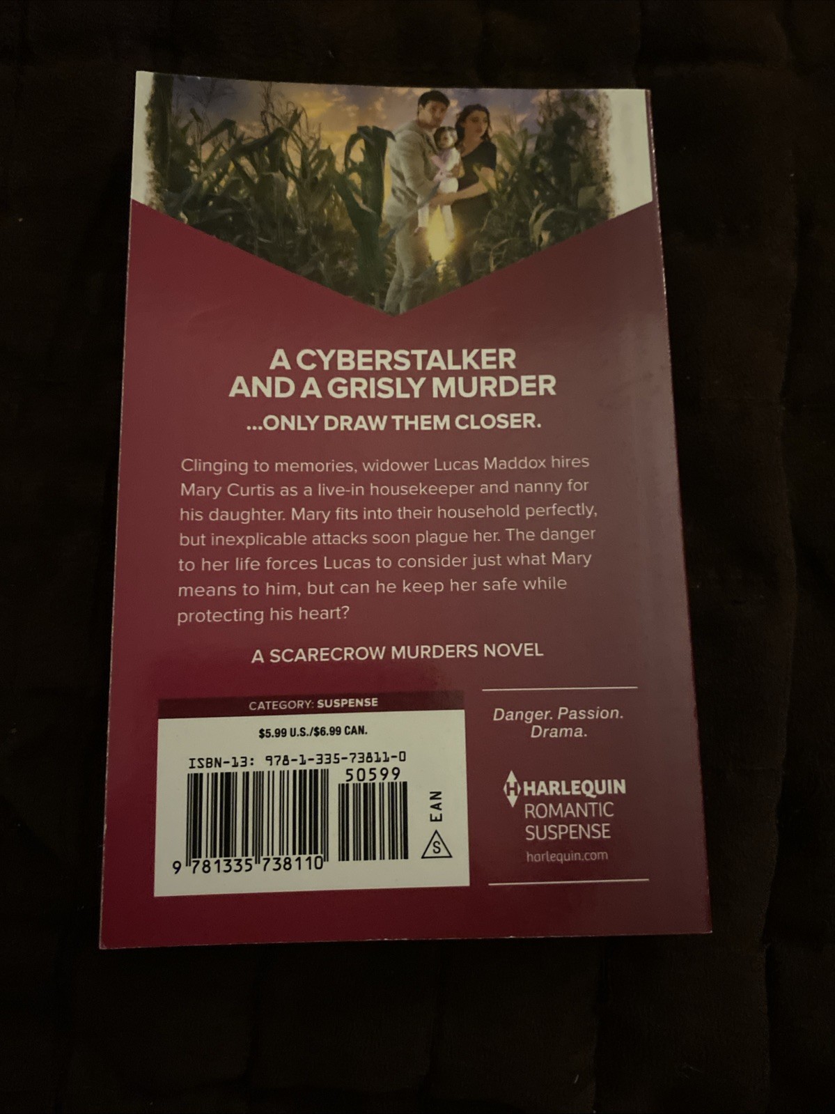 Killer in the Heartland by Carla Cassidy 280 Pages Romantic Suspense