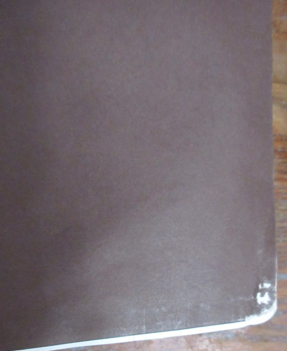 FOLLOWING JESUS BIBLE ESV 2011 Ages 8-12 BROWN TRU TONE Study Aids APPLICATIONS