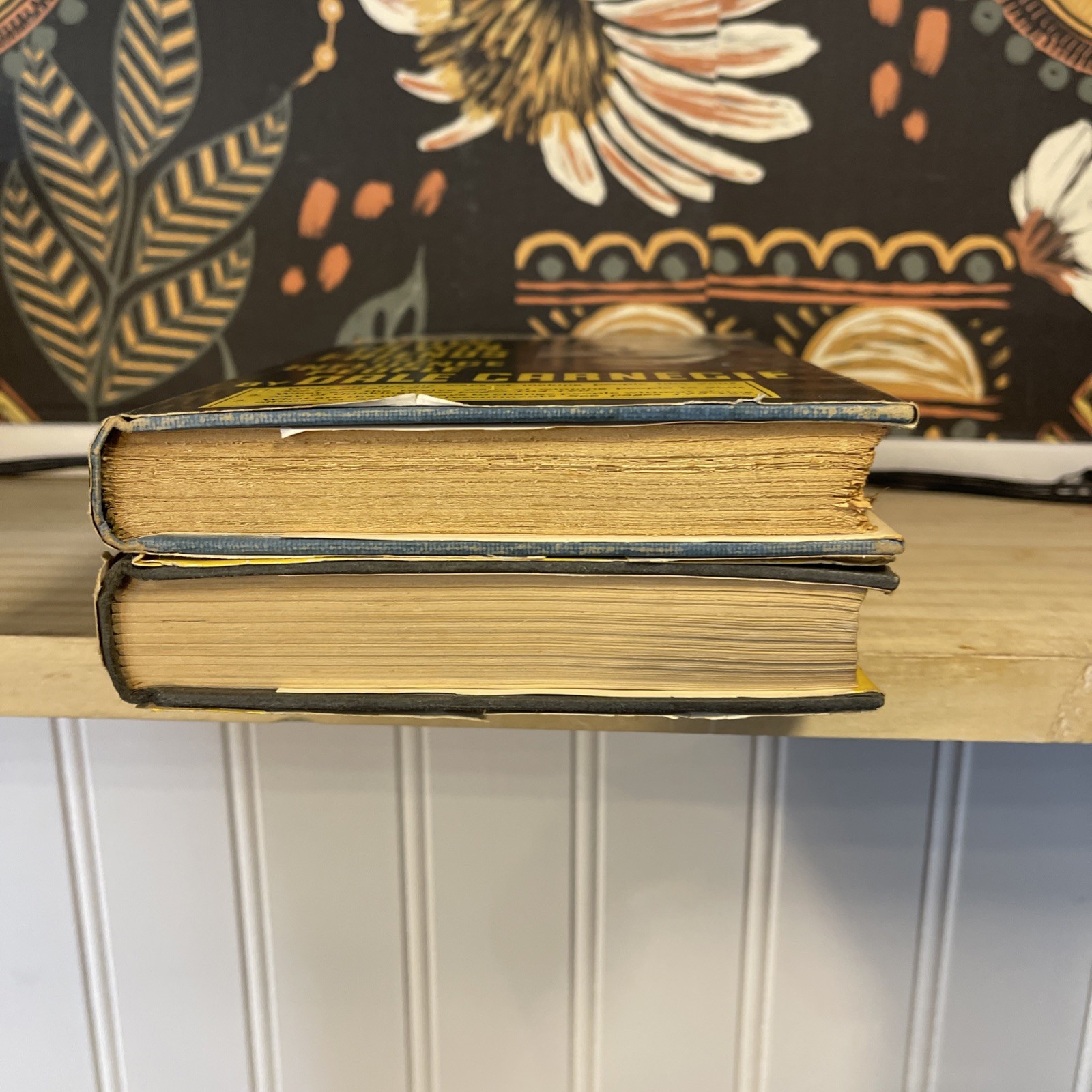 Dale Carnegie Vintage 2-Book Lot How To Win Friends Stop Worrying Hardcover DJ