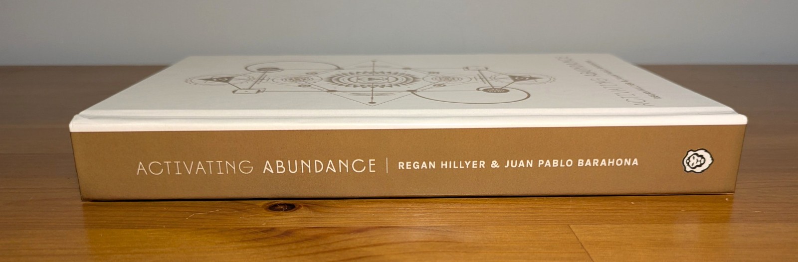 Activating Abundance : Fifty-Two Codes to Unlock Abundance : Regan Hillyer NEW!