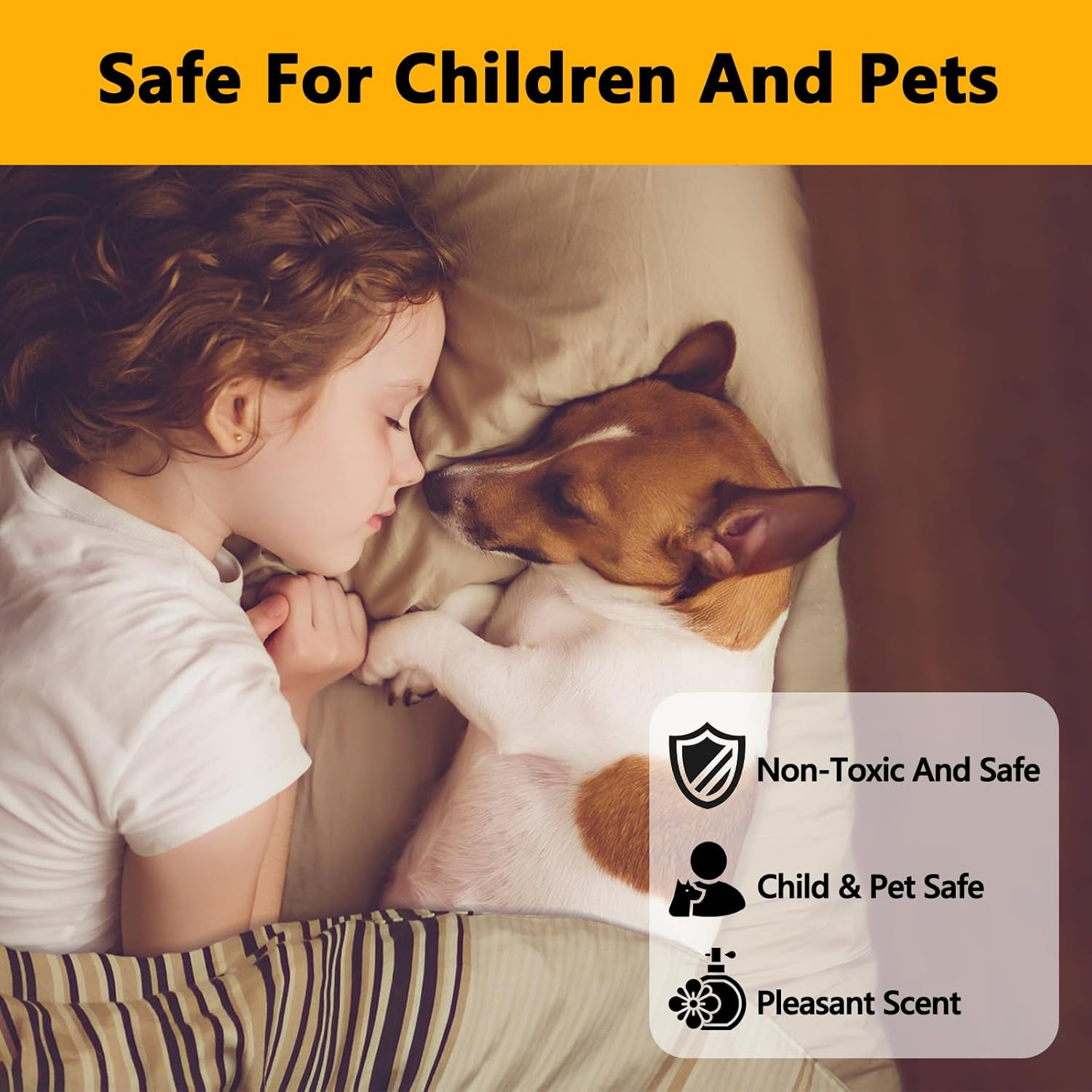 Mite Treatment Spray– 16 Oz – Kills Dust, Scabies, Spider, Carpet, Bird, Mouse &