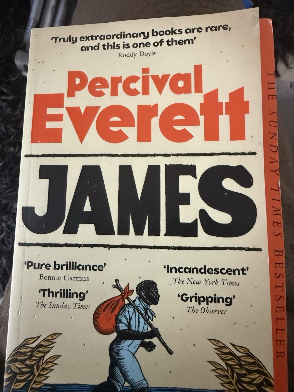 James by Percival Everett & Everybody’s Wokking by Martin Yan, Paperback