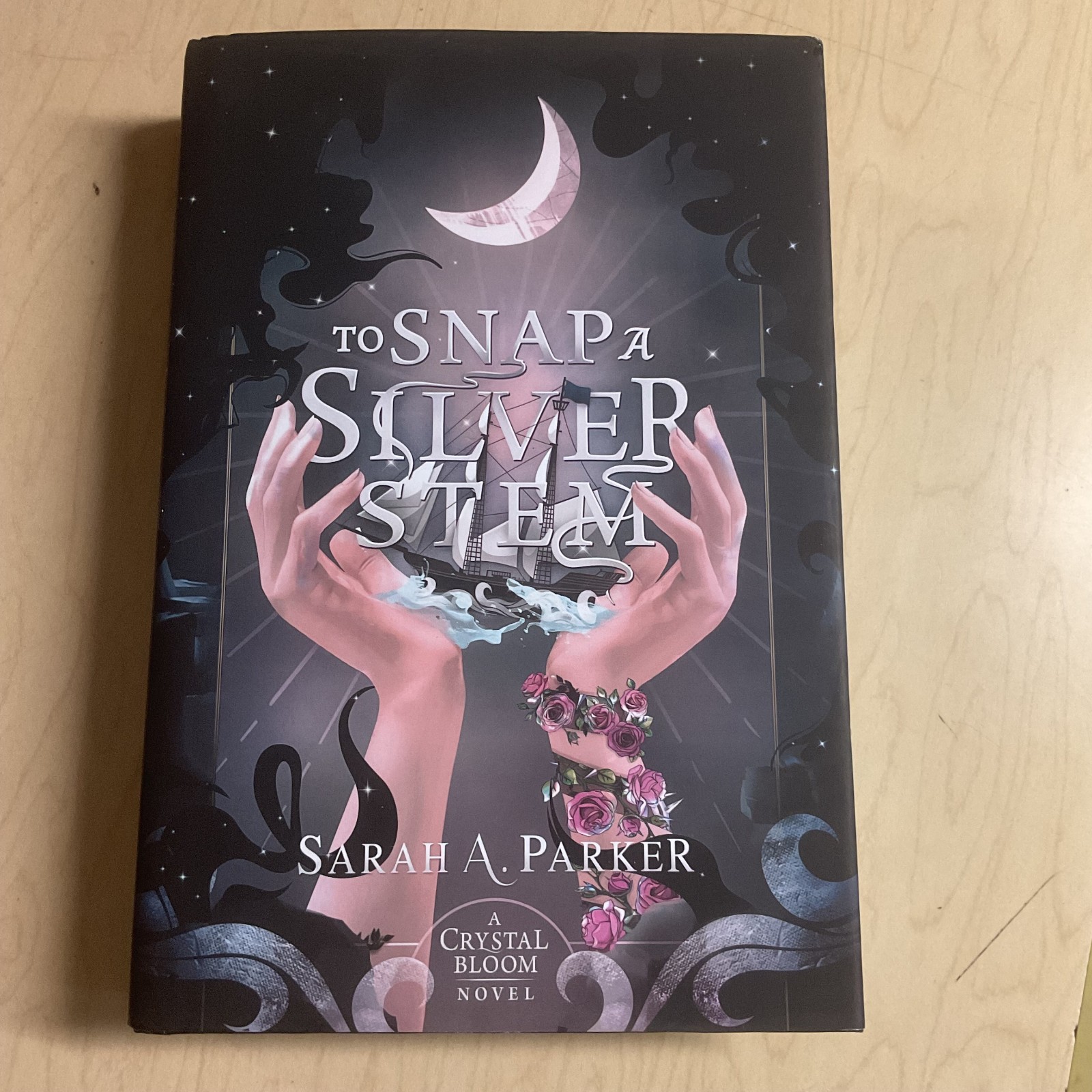 To Snap a Silver Stem by Sarah A. Parker (Hardback) new 9780645771411