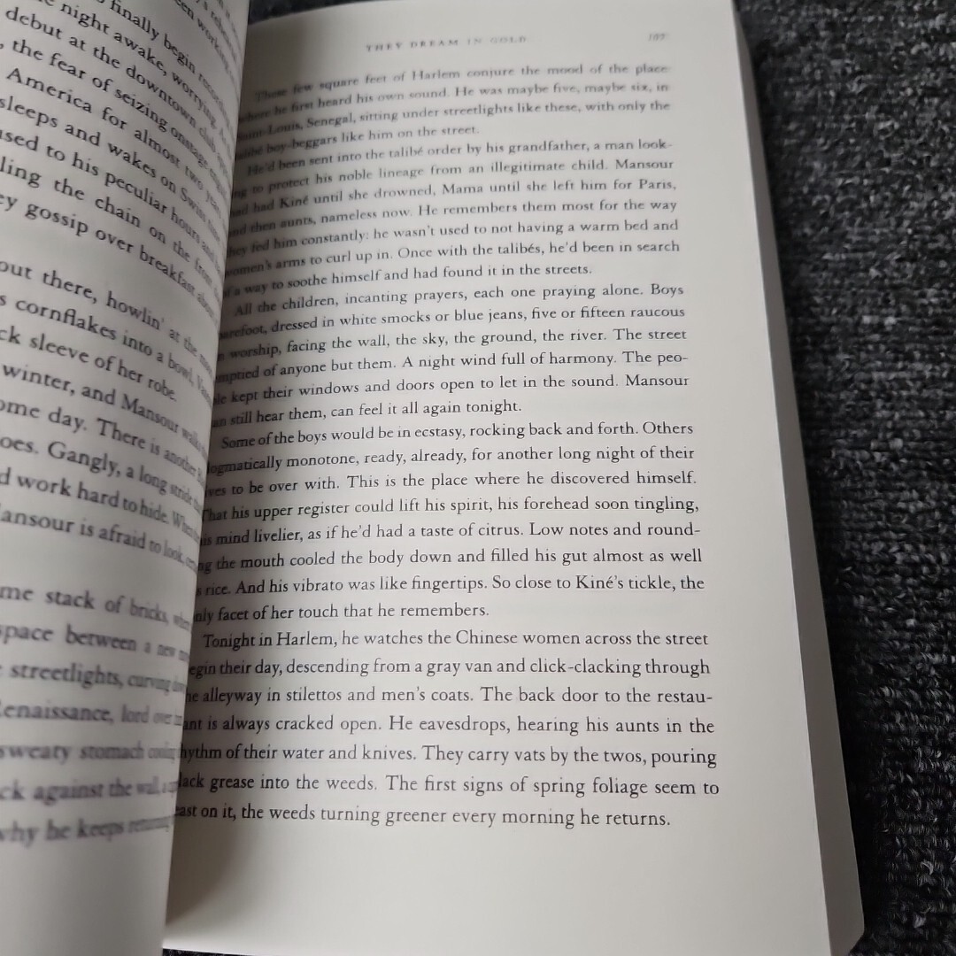 THEY DREAM IN GOLD Mai Sennaar Historical Fiction Zando Preview Edition