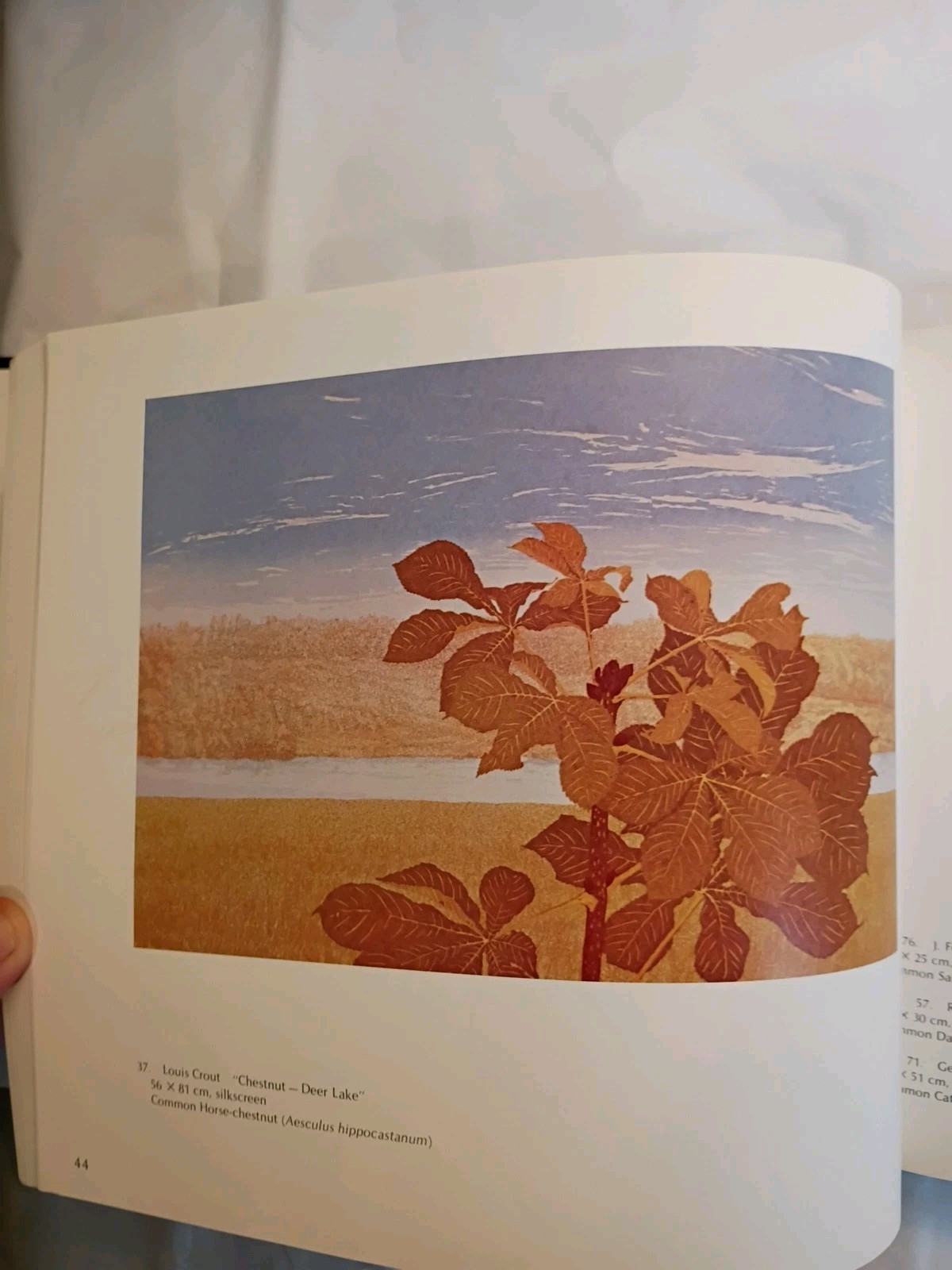 Plantae Occidental 1979 200 Years Of Botanical Art In British Columbia (658)