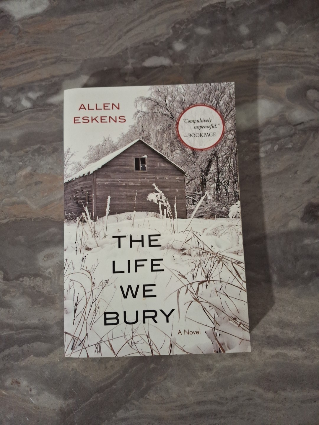 Life We Bury by Not Available (2014, Trade Paperback)