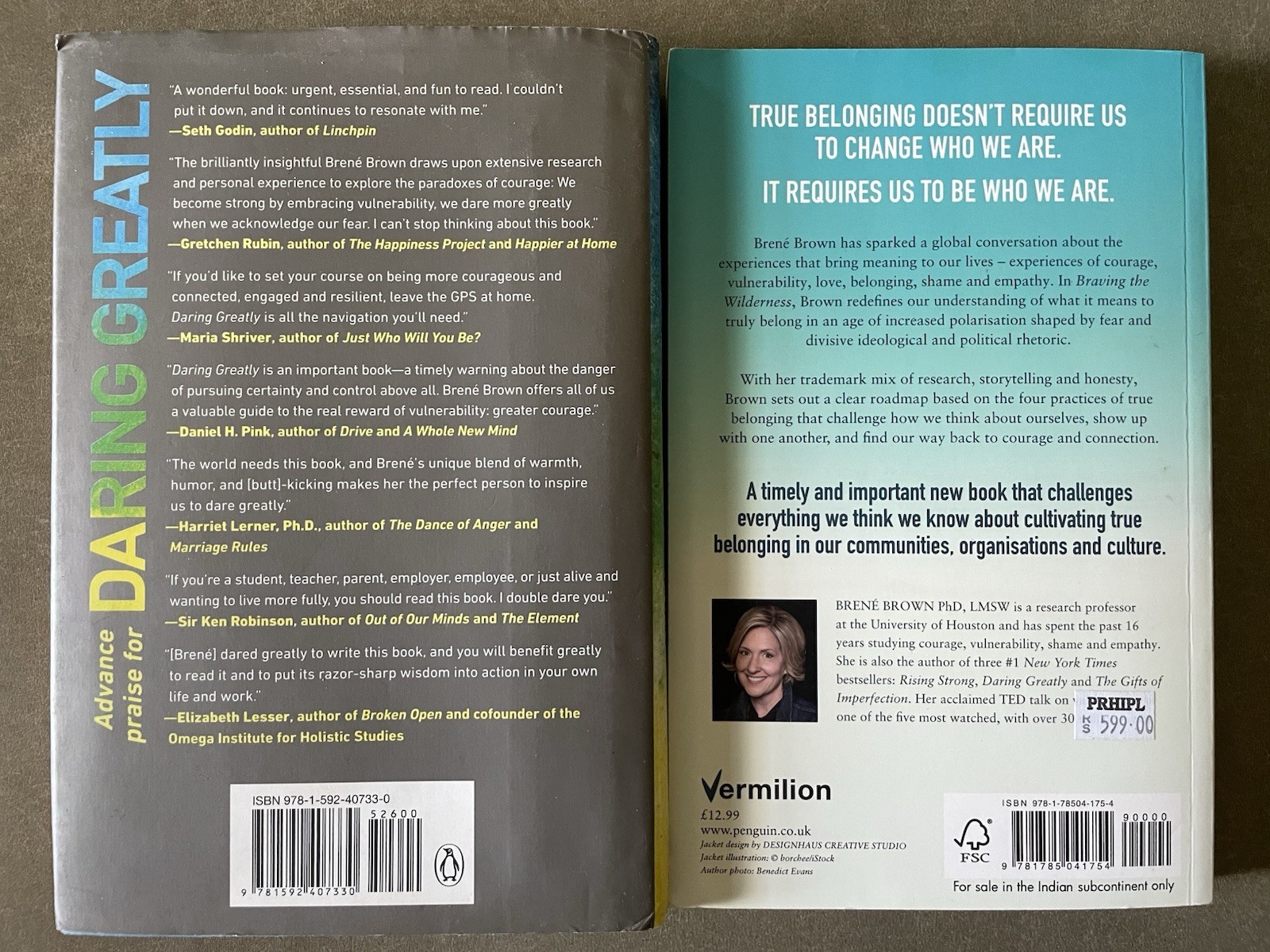 Lot of 2 Brene Brown PHD Daring Greatly & Braving the Wilderness