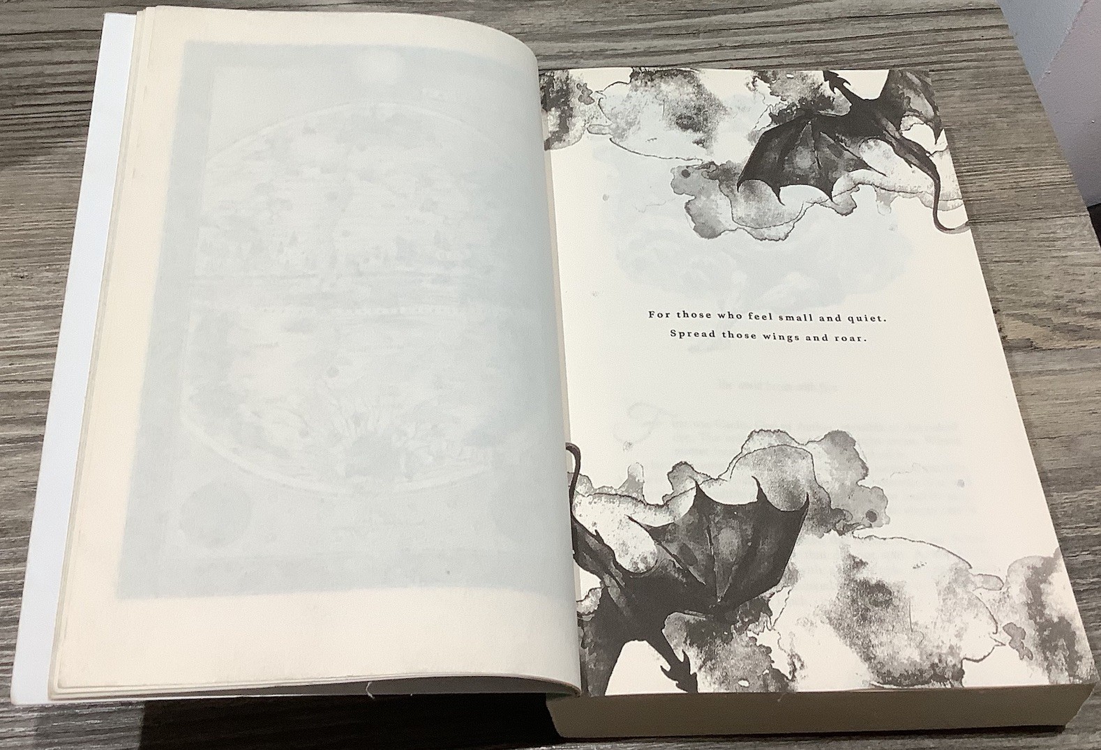 When the Moon Hatched Book Romance Dragons Magic Fantasy 2024 Sarah A. Parker