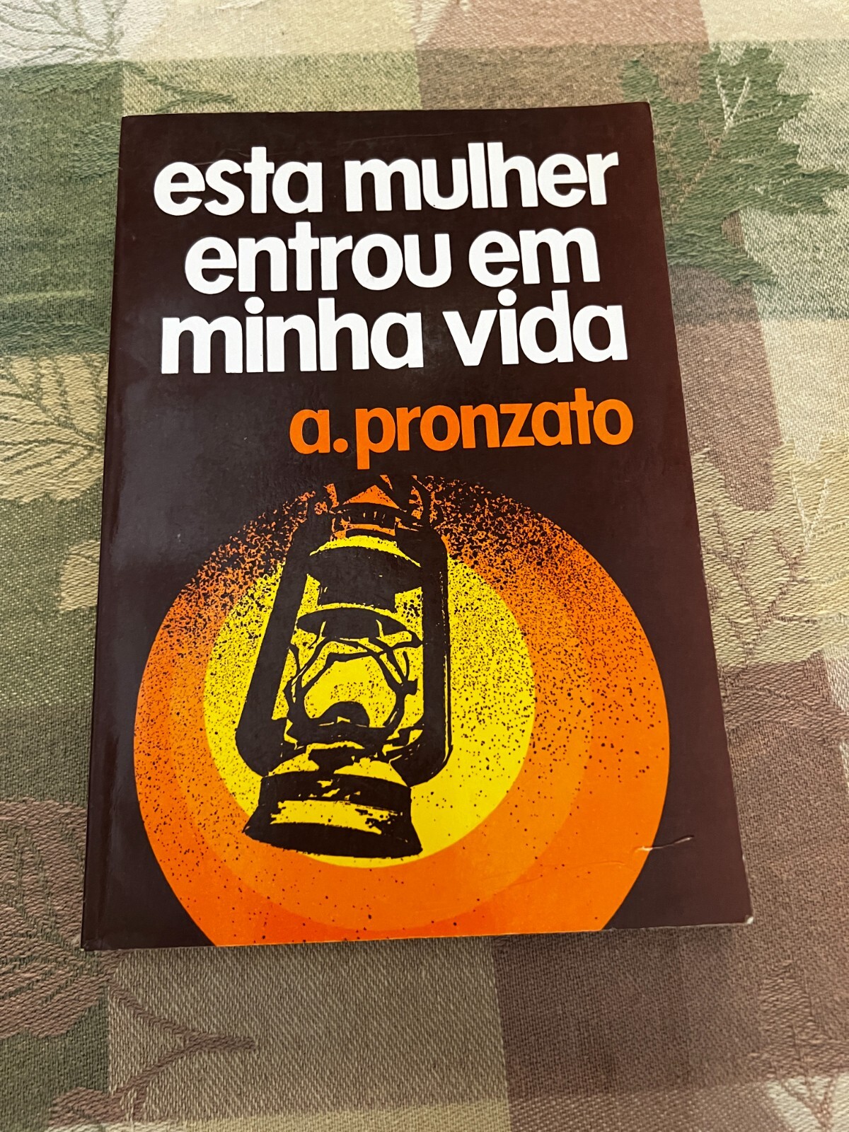 Esta Mulher Entrou em Minha Vida by a. Pronzato 1979 (Portuguese) 303pages