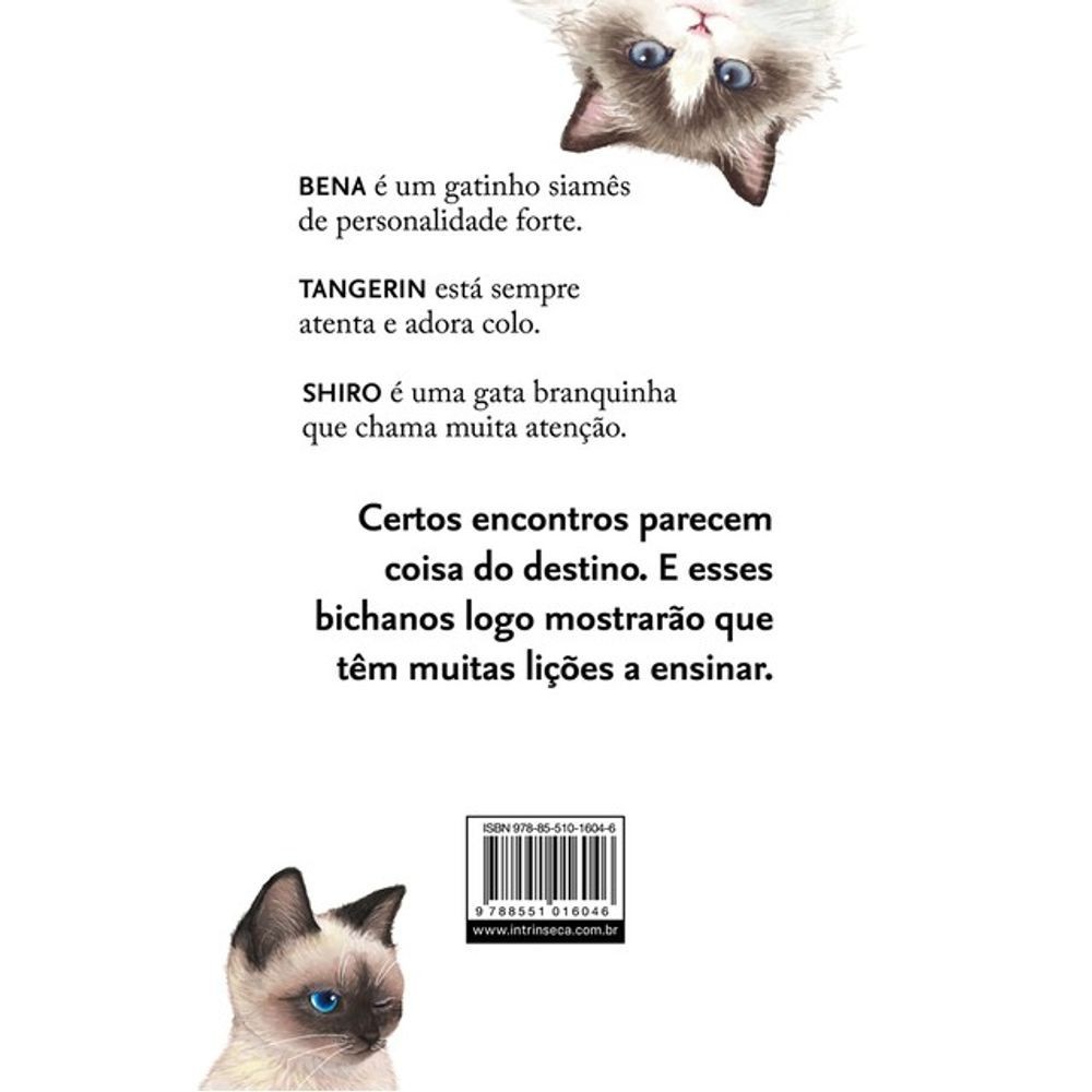 Livro: Que Tal mais um Gato? – Syou Ishida (Em Portugues do Brasil)