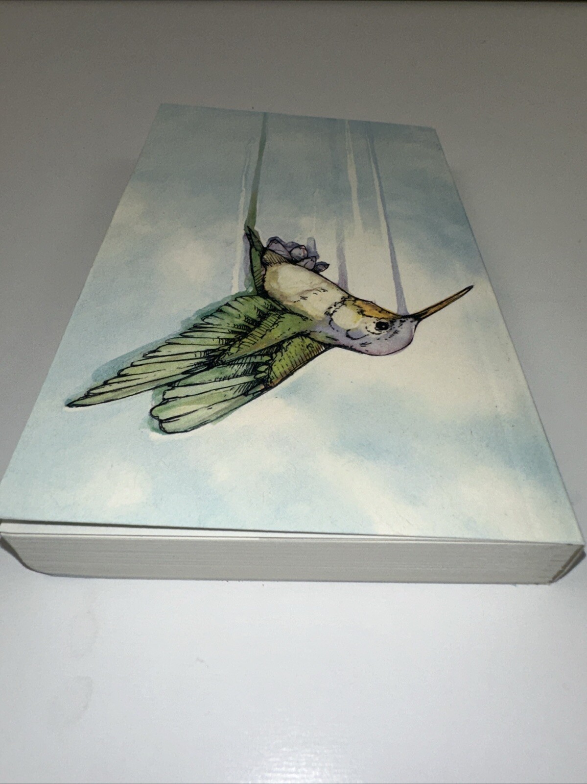 Hummingbird: Essays [Genuine Rare Bird Book] by Angelini, Jude paperback Book