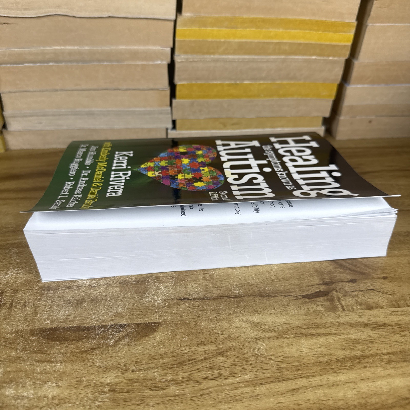 HEALING THE SYMPTOMS KNOWN AS AUTISM KERRI RIVERA 2ND EDITION PAPERBACK OOP READ