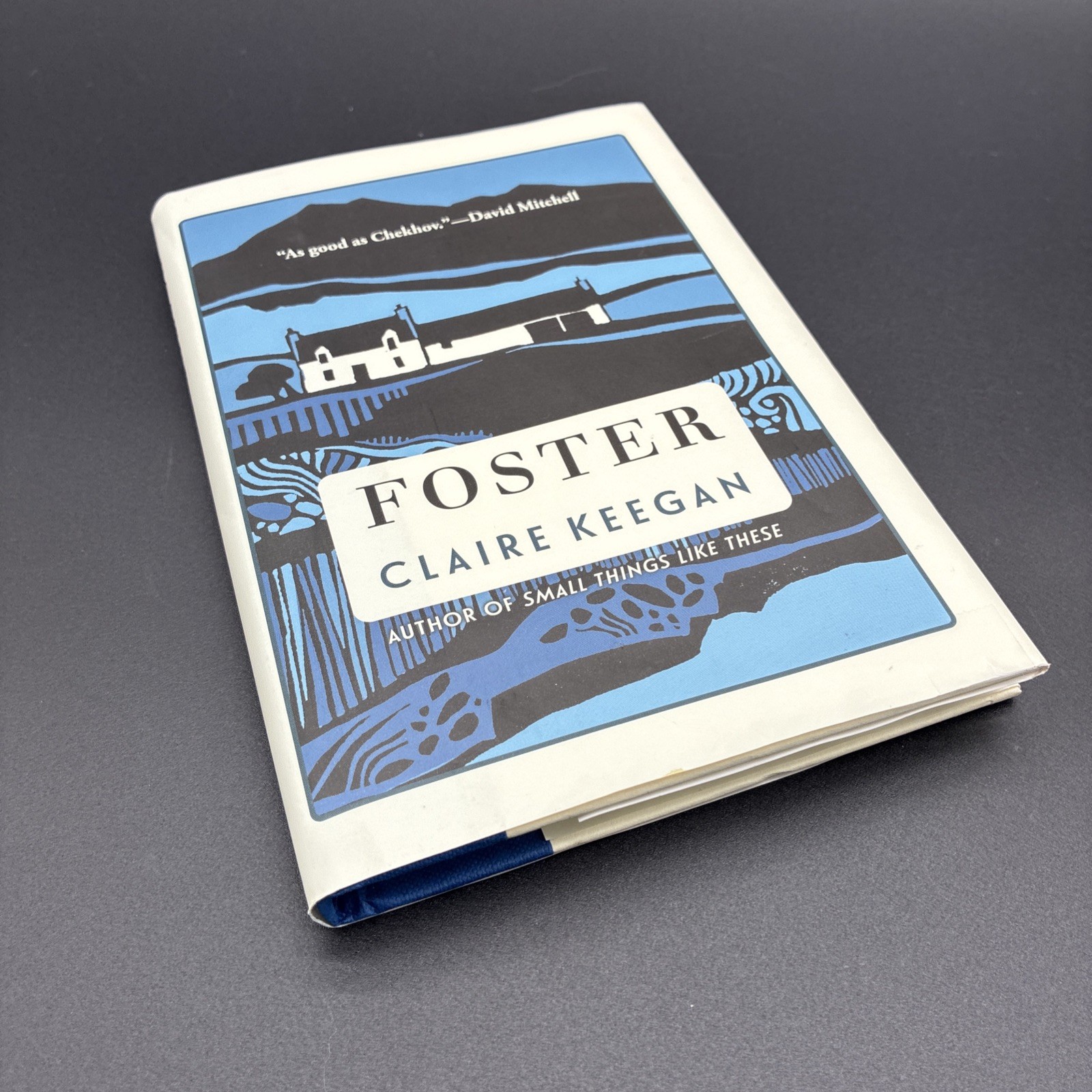 Foster by Claire Keegan Paperback Novel Fiction Book