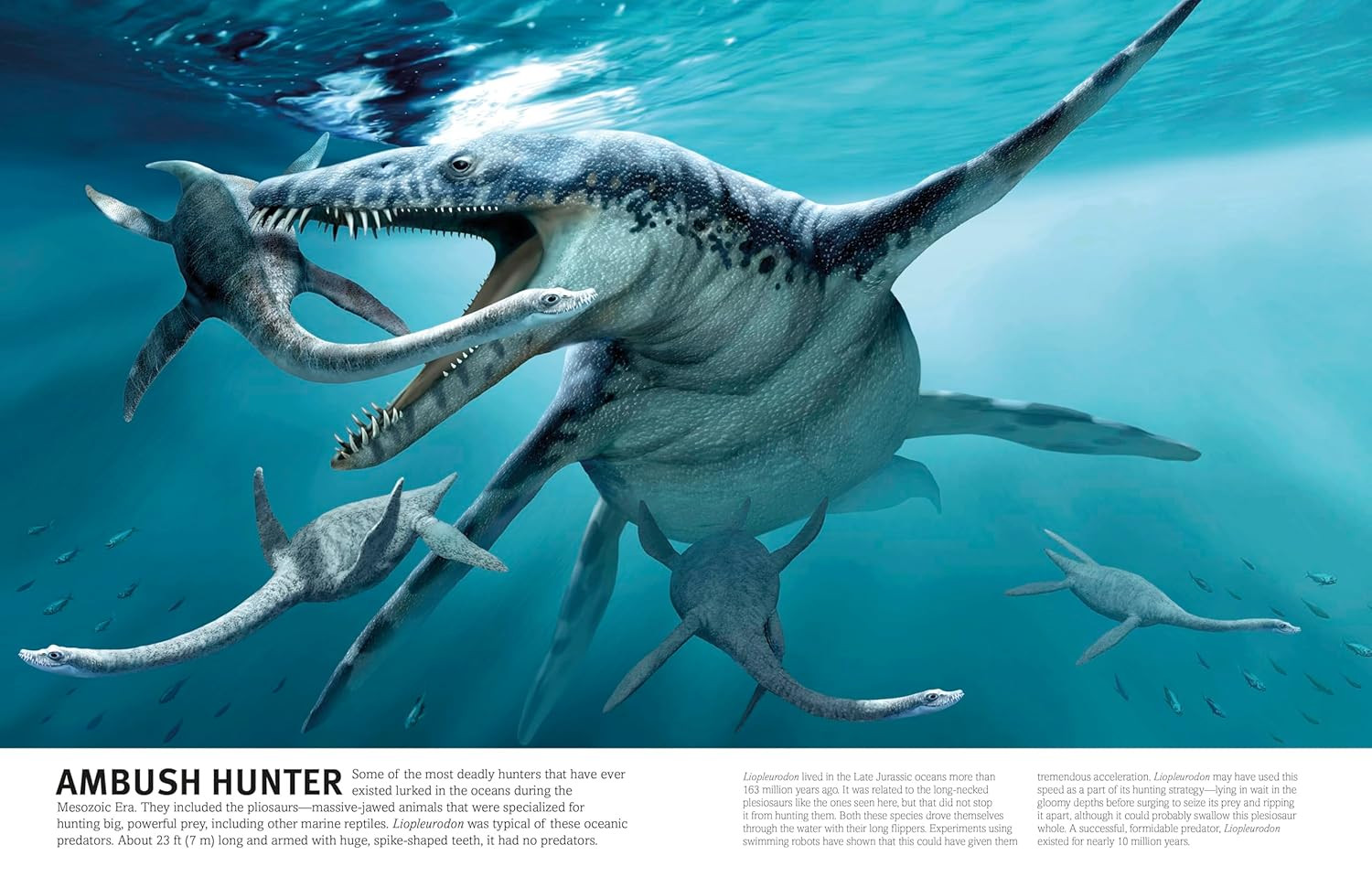 Our World in Pictures The Dinosaur Book
