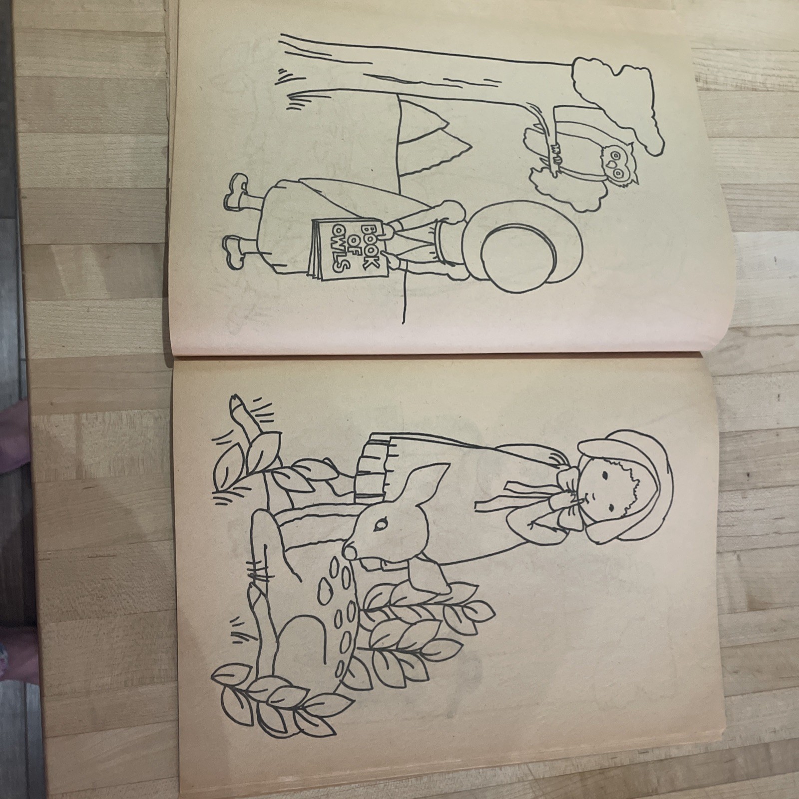 Holly Hobbie Nature Friend Coloring Book Vtg Aged Pages 1976 Slightly Distressed