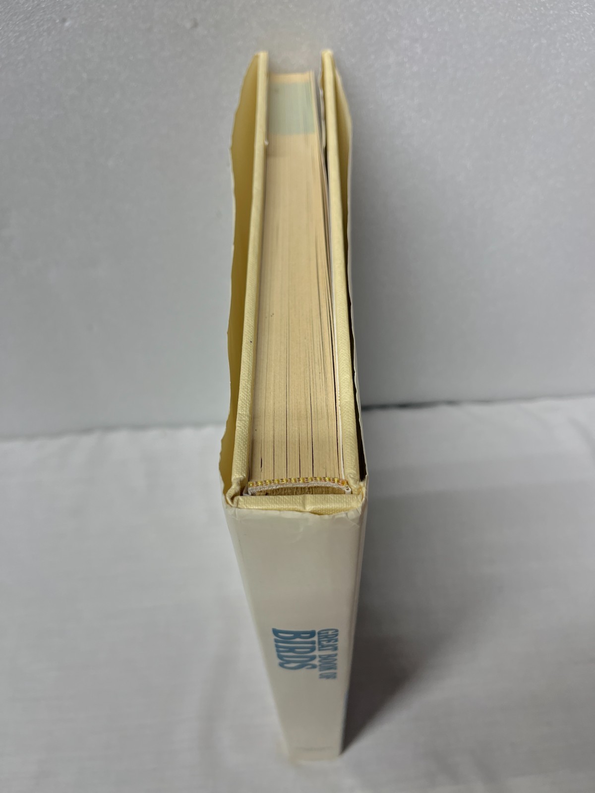 The Great Book Of Birds – 280 pages, 1,000 full color illustrations Ornithology